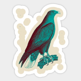 hawk,bald eagle,falcon,golden eagle,birdie,bird,bird of prey,raptor,aquila,vulture,heron,golf game,golf,eaglet,condor,haliaeetus,harpy eagle,beak,eagle putt,bird of jove,accipitridae,score,pigeon,owl,osprey Sticker